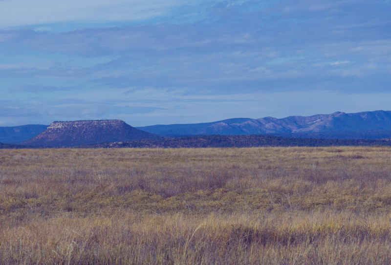 A wide landscape shot of expansive dry grasslands under a cloudy sky, with distant mountains